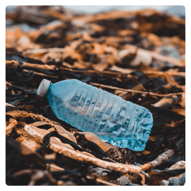 plastic bottle